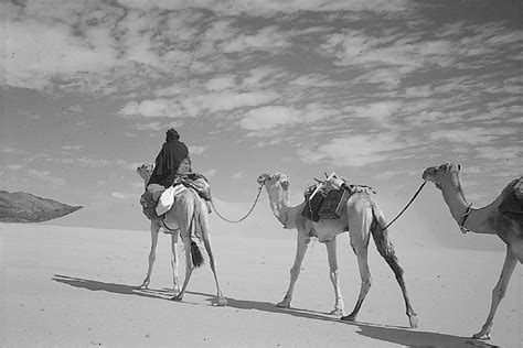 Temperate Desert Human Adaptation