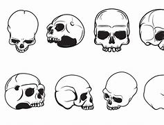 Image result for skull 头脑