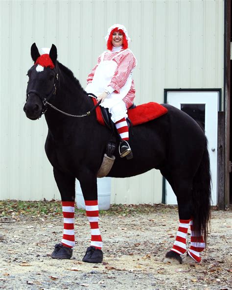 Happy Halloween | Horse halloween costumes, Horse costumes, Horse ...