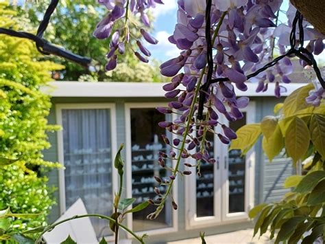 Contact - Booking — The Garden Spa