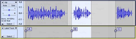 Image result for Audacity Export Labels