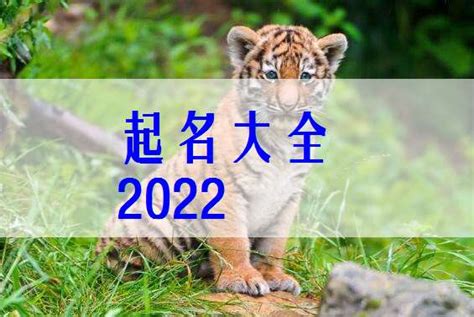 八字解读：2022年哪几个月出生的虎宝宝命最好？_为人_生者_当令