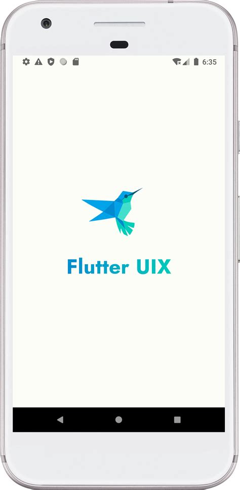 Flutter Splash Screen Animation 的图像结果