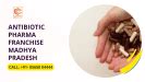 How to Get Best Antibiotic Pharma Franchise in Madhya Pradesh - Cureton