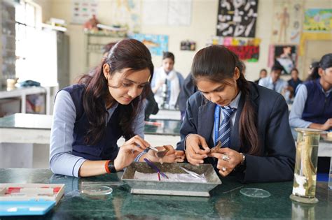 Krishna College Bijnor|Top/Best College in U.P., India