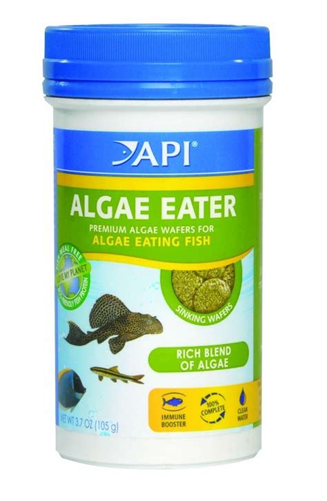 Api Algae Eater Premium Sinking Wafer For Algae Eating Fish ...
