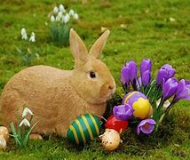 Image result for Easter Thoughts