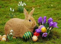 Image result for Easter Bunnies to Print