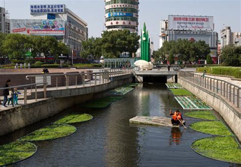 醉了！中国最适合居住的16座城市，菏泽竟然排名......