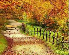 Best And Beautiful Wallpaper by Beautiful Autumn Scenery Wallpapers Hd Wallpaper Best And Beautiful Wallpaper