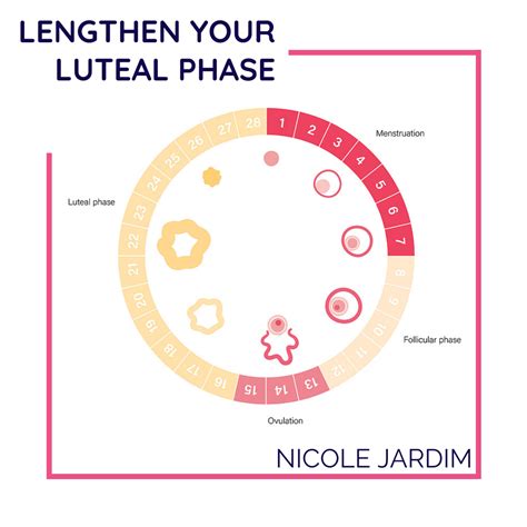 Lengthen your luteal phase - Nicole Jardim
