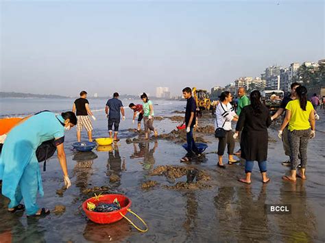 Amitabh Bachchan takes part in a clean-up drive at Versova beach in ...
