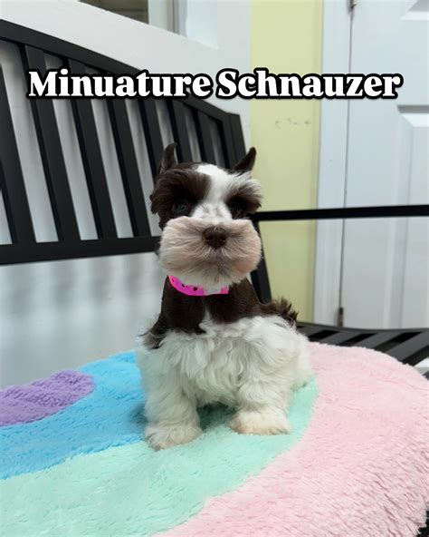 🐟 Beverly's Pet Center 🐠 (@beverlyspetcenter) • Instagram photos and videos