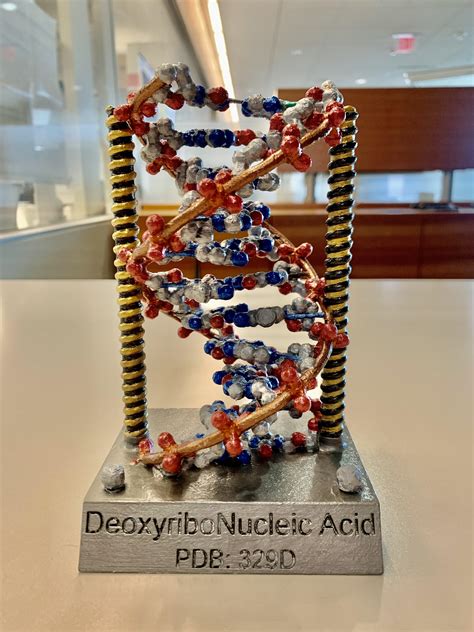 3d Dna Model Kit DNA Model Kit By Alxander97