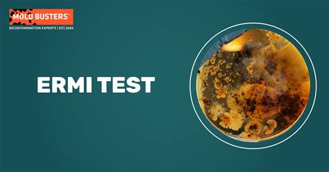 Image result for Ermi Testing vs Air Sampling Dust