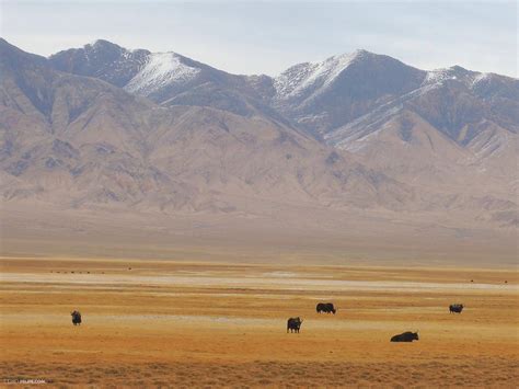 大美新疆，行摄巴音郭楞蒙古自治州