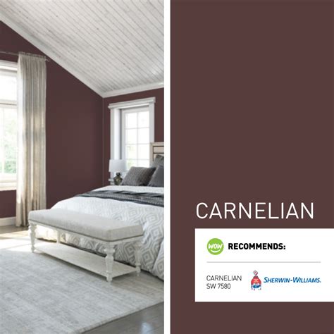 Carnelian | Color of the Month November 2023 | WOW 1 DAY PAINTING