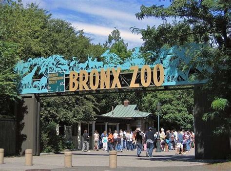 Bronx Zoo: The Largest Zoo In The USA That You Must Visit