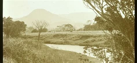 Dharawal People: Sydney’s Southern Aboriginal Communities & Heritage