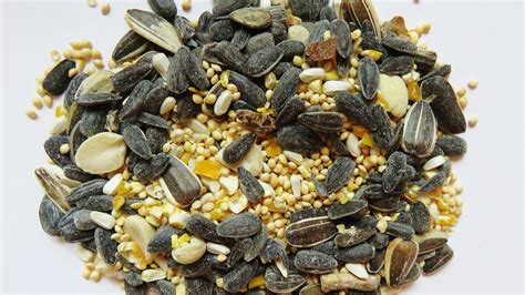 Aspen Song Choice Blend Bird Seed, 40 lbs - Pierce Milling Inc.