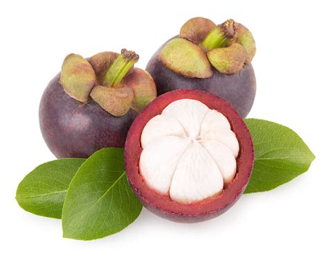 Can Dogs Eat Mangosteen Fruit