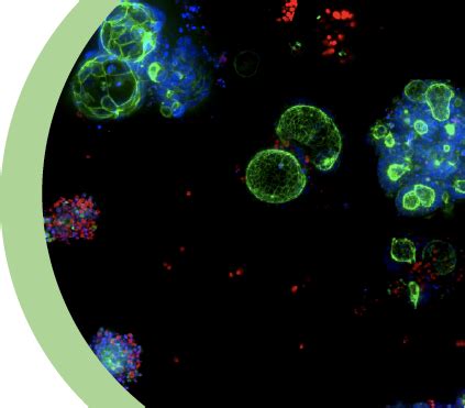 Image result for SoftMax Pro Tutorial