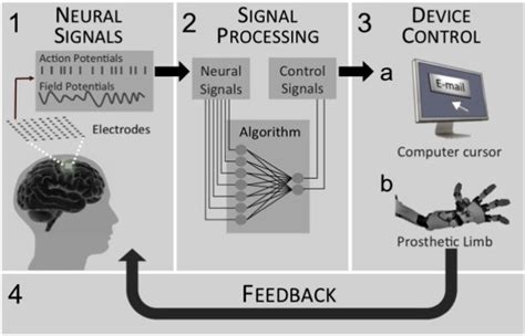 Chitkara University | Interdisciplinary | Research and Innovation