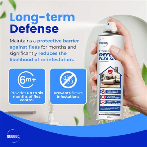 Quebec Household Flea Spray for the Home – India | Ubuy