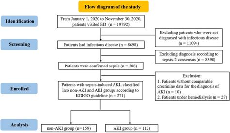 Early Identification of Sepsis-Induced Acute Kidney Injury by Using ...