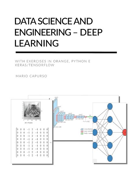 Data Science and Engineering – Deep Learning: with exercises in Orange ...