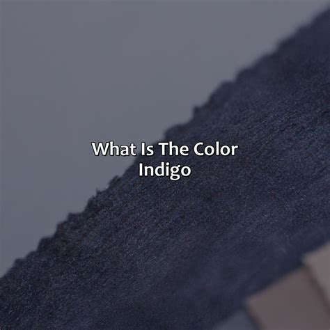 What Color Are Elephants - colorscombo.com