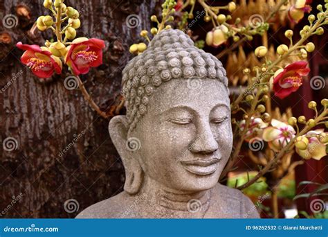 Buddha Tree 的图像结果