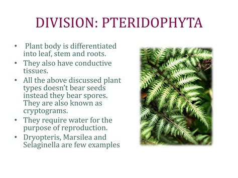 Diversity in living organisms | PDF
