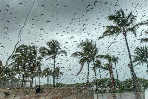 Extreme Weather Types 的图像结果