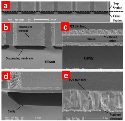 Piezoelectric Micromachined Ultrasound Transducer (PMUT) Arrays for ...