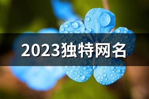 2023独特网名(共940个)-淘名吧网