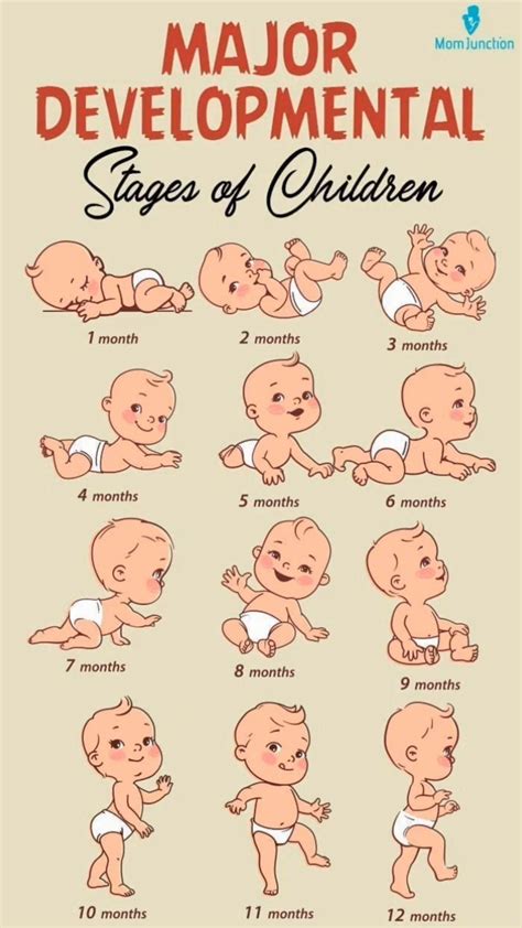 Baby devevopment Month by Month | Ребенок прикорм, Здоровье младенца, Младенец - stages of baby development