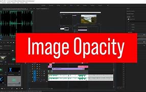 Image result for opacity