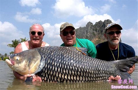 盘点世界上钓到的最大的鱼[6] - 雪炭网