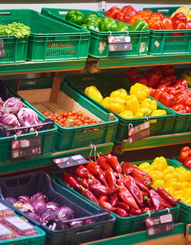 Apply Shop License Haryana | Shop and Establishment License Haryana