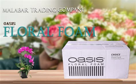 Malabar Trading Company Oasis Floral Foam Choice Floral Foam (Green ...