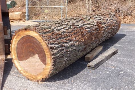 How much is your log worth? | Woodworking Network