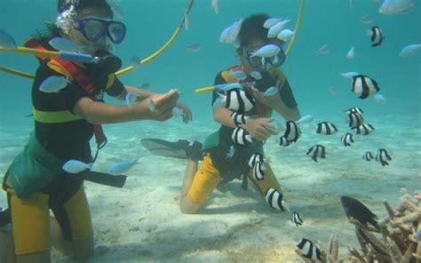 Diving: A Real Pleasure, phi phi, Thailand - Top Attractions, Things to ...