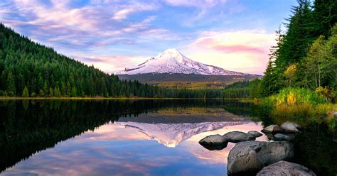 Oregon Business Search