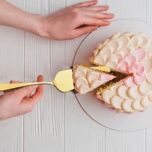 Buy Eisinly Cake Cutting Set for Wedding, Elegant Cake Knife and Server ...