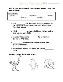Bird Fly Worksheet 的图像结果