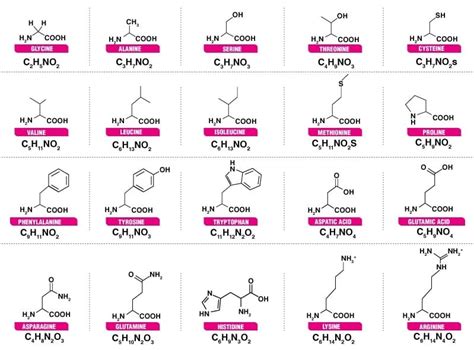 Amino Acids Properties, Structure and Classification - Organic Chemistry
