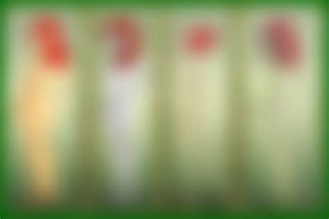 Poison Ivy over the Years (Batman) [Cartoongirls] : rule34