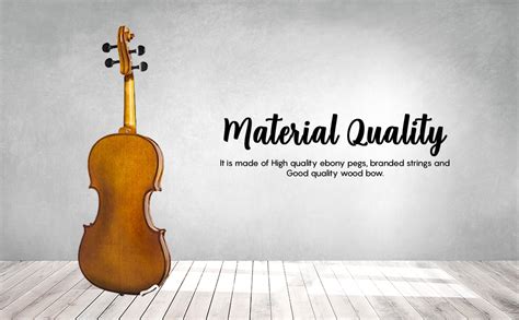 STENTOR 1500A Student II Violin Outfit 4/4 Size : Amazon.in: Musical ...