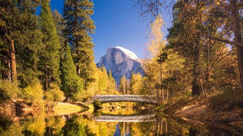 Image result for Simple Frame Sticker